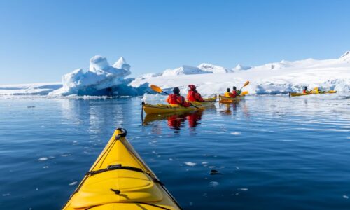 Incentive Reise als Expeditions-Kreuzfahrt mit OceanEvent bis 200 Pax in die Arktis / Antarktis - Kayak